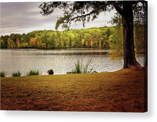 Menominee River In Autumn Print Acrylic Print featuring the photograph Menominee River in Autumn by Gwen Gibson
