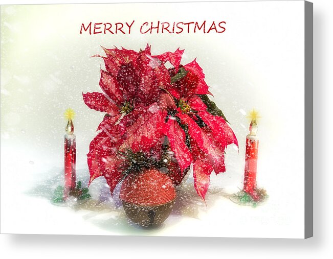 Flower Acrylic Print featuring the photograph Merry Christmas by Linda Blair