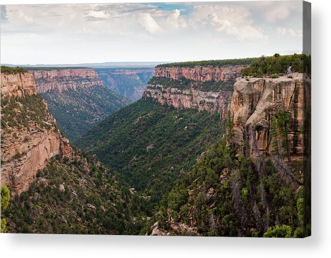 Mesa Acrylic Print featuring the photograph Mesa Verde Canyon Landscape by Ray Devlin