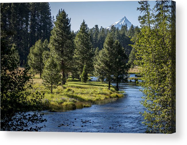 Springs Acrylic Print featuring the photograph Metolius Springs Oregon by Mary Lee Dereske
