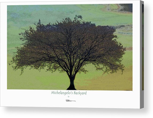 Michelangelo Acrylic Print featuring the photograph Michelangelo's Backyard by Pete Rems