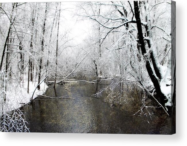 Hovind Acrylic Print featuring the photograph Michigan Winter 17 by Scott Hovind