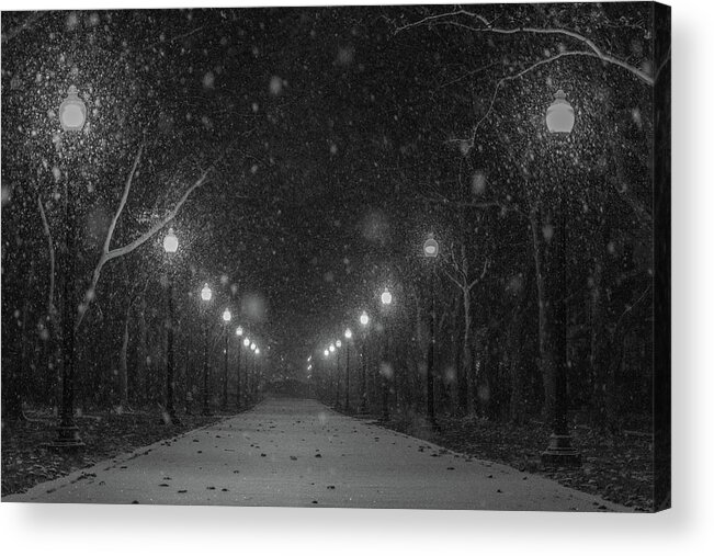 Snow Acrylic Print featuring the photograph Midnight Snow Storm by Pravin Sitaraman