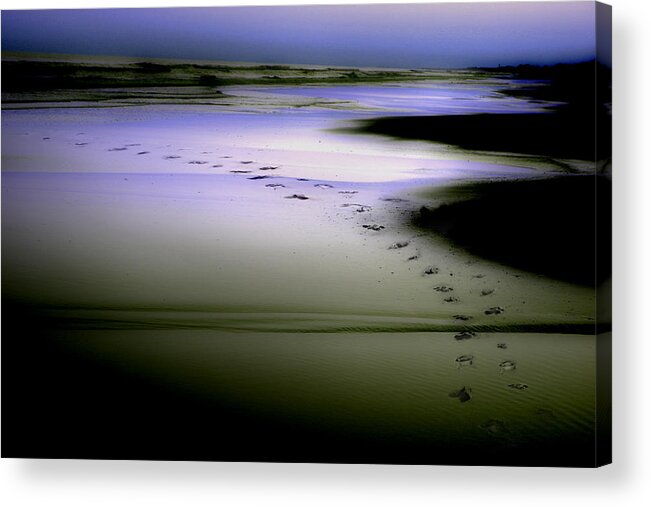 Ocean Acrylic Print featuring the photograph Midnight Swim by Gray Artus