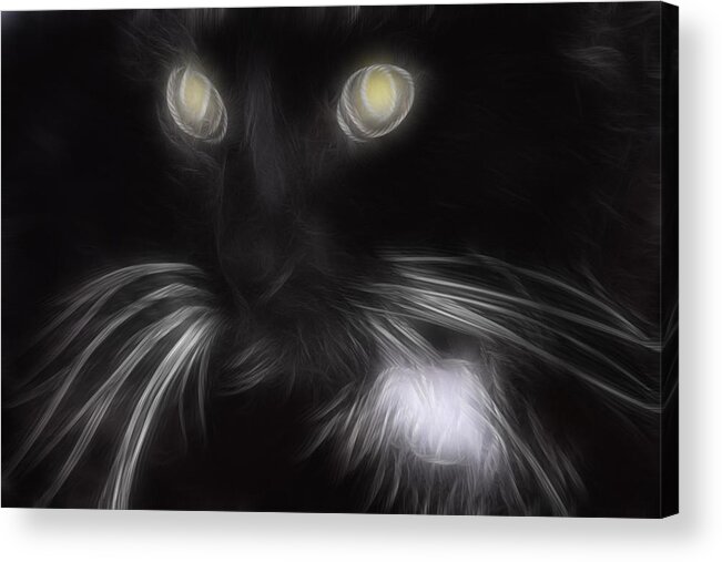 Animal Acrylic Print featuring the digital art Mikey by Holly Ethan