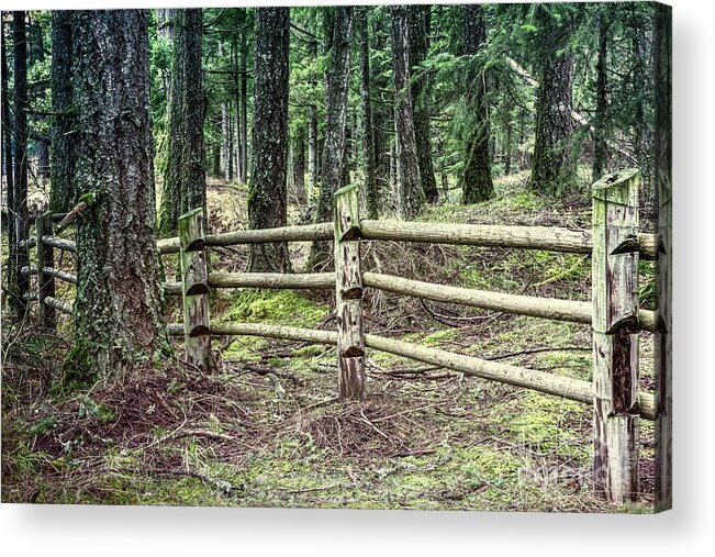 Forest Acrylic Print featuring the digital art Mima Mounds Forest Fence by Jean OKeeffe Macro Abundance Art