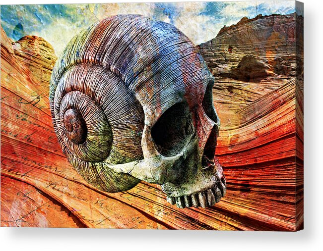 Skull Acrylic Print featuring the digital art Mind Melting by Ally White