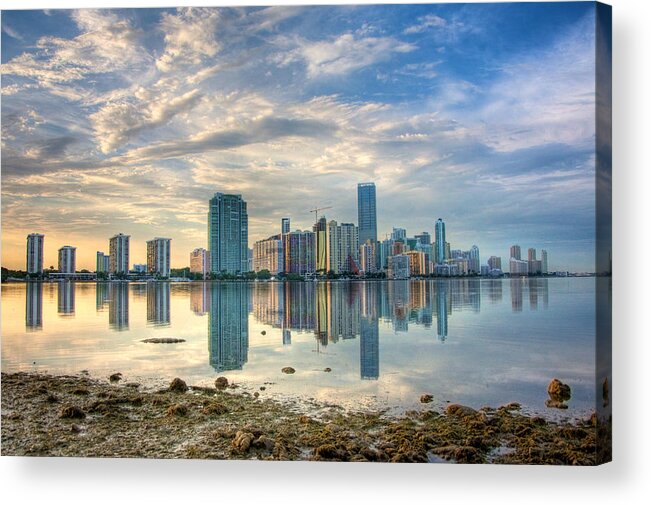 Miami Acrylic Print featuring the photograph Mirror City by William Wetmore