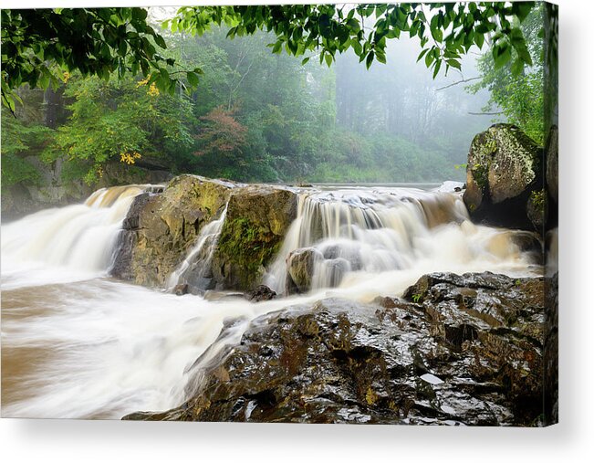 Chestnut Acrylic Print featuring the photograph Misty Creek by Michael Scott