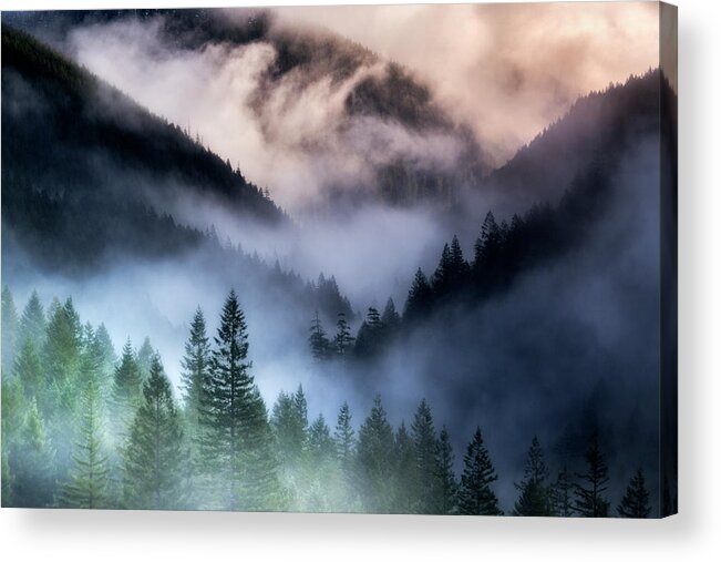 Dramatic Acrylic Print featuring the photograph Misty Mornings by Nicki Frates