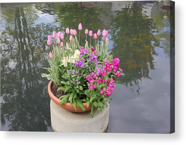 Flowers Acrylic Print featuring the photograph Mixed Flower Planter by Allen Nice-Webb