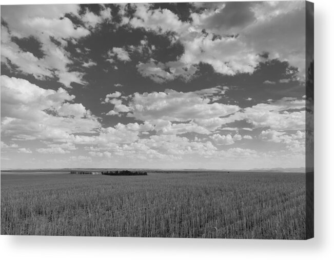 Agriculture Acrylic Print featuring the photograph Montana, Big Sky Country by Scott Slone