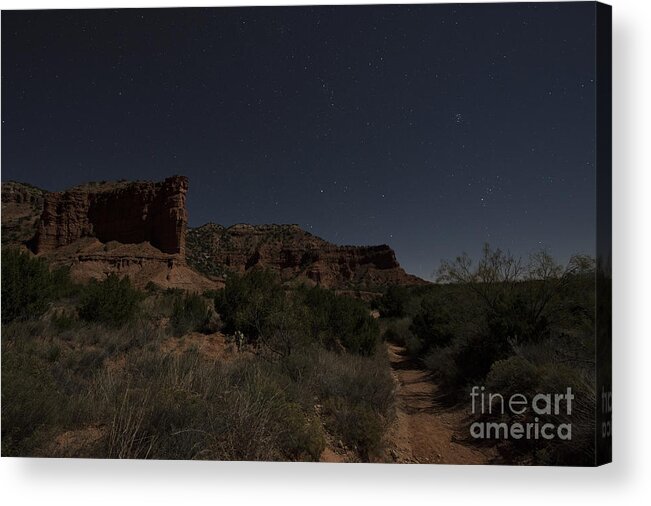 Night Acrylic Print featuring the photograph Moonlit Path by Melany Sarafis