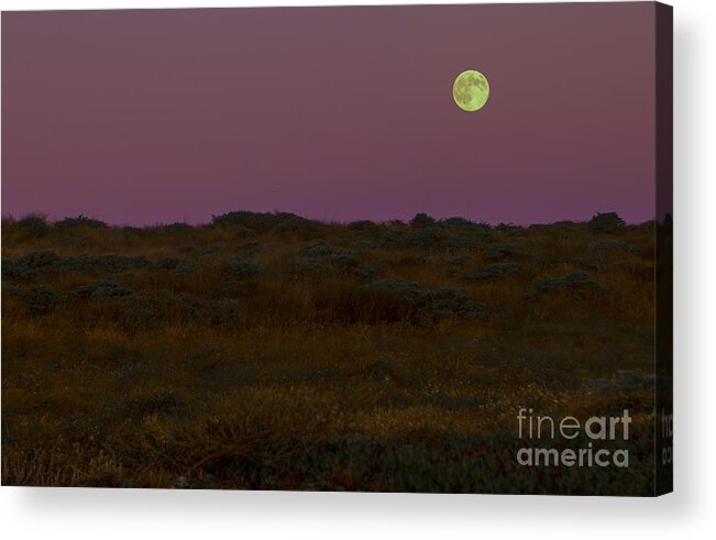 Moon Acrylic Print featuring the photograph Moonrise in Bodega Bay by Diane Diederich