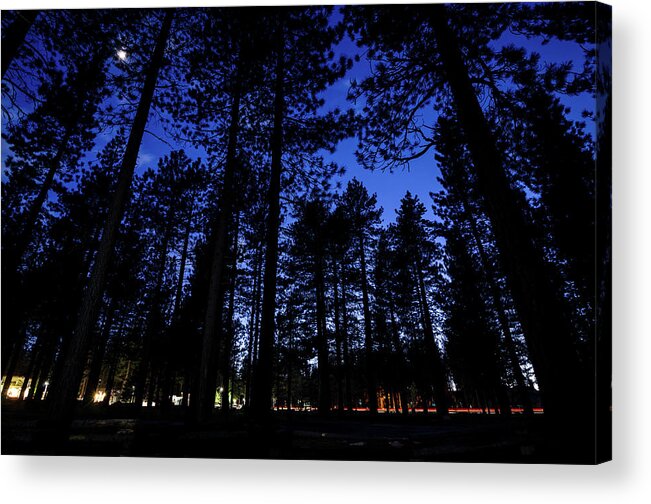 California Acrylic Print featuring the photograph Moonrise in the Woods by Margaret Pitcher