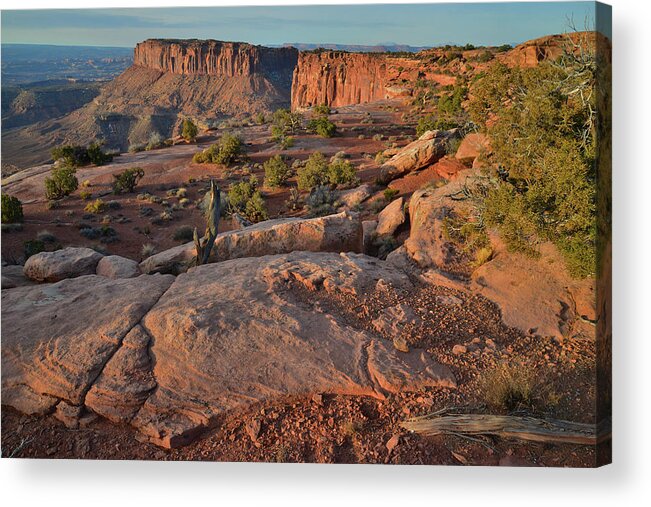Canyonlands National Park Acrylic Print featuring the photograph Morning at Grand View Point - Canyonlands NP by Ray Mathis