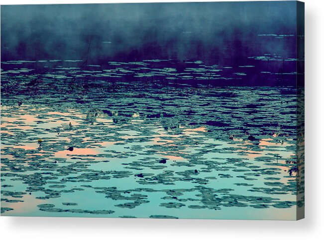 Morning Fog In The Lily Patch In Blues Acrylic Print featuring the photograph Morning Fog in the Lily Patch in Blues by Bonnie Follett