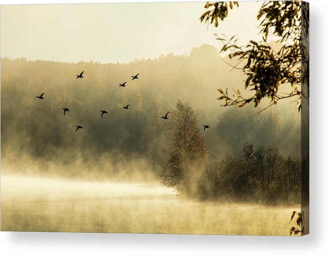 Haley Pond Acrylic Print featuring the photograph Morning fog on Haley Pond in Rangeley Maine by Jeff Folger