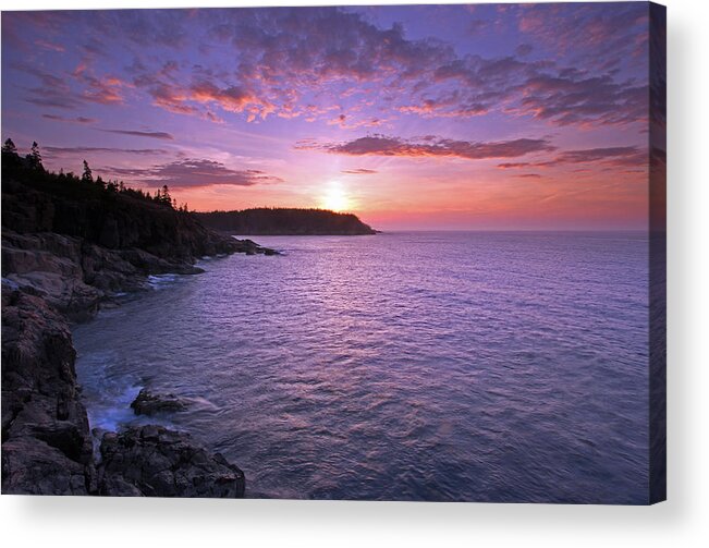 Acadia National Park Acrylic Print featuring the photograph Morning Glory by Juergen Roth