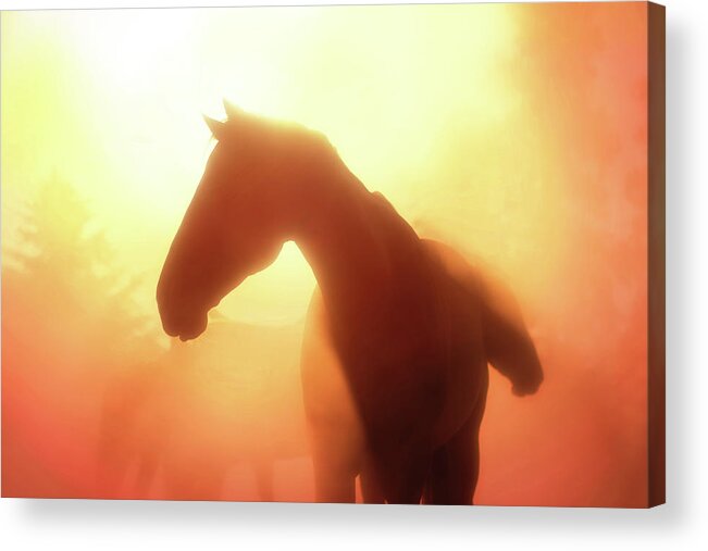 Three Bars Ranch Acrylic Print featuring the photograph Morning Glory - Three Bars Ranch by Ryan Courson