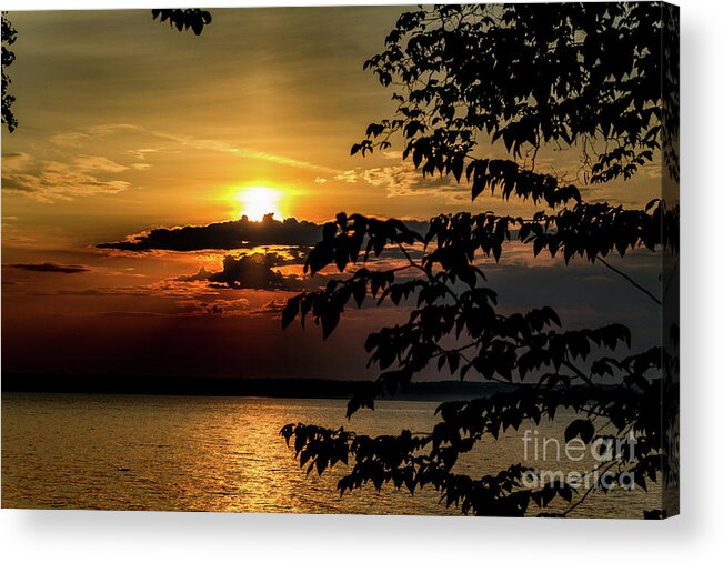 Sunrise Acrylic Print featuring the photograph Morning Glory by William Norton