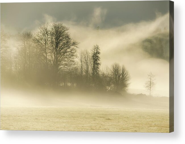 Fog Acrylic Print featuring the photograph Morning Mood 0741 by Kristina Rinell