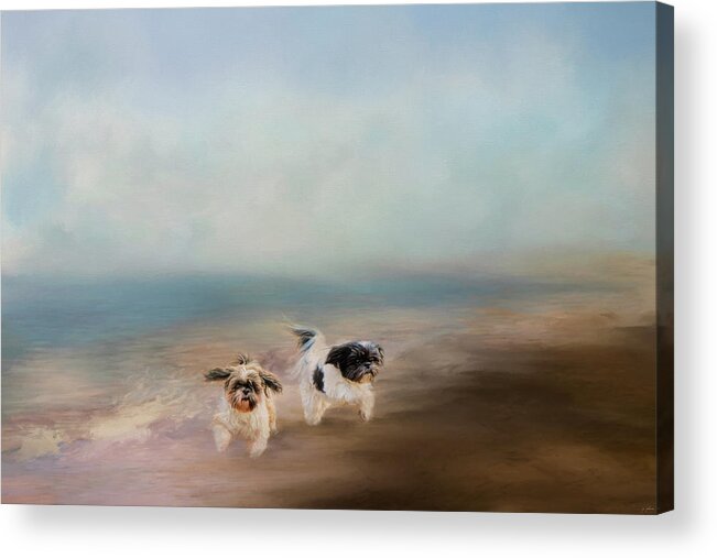 Art Acrylic Print featuring the photograph Morning Run At The Beach by Jai Johnson