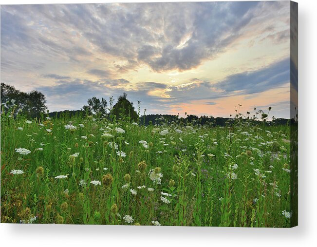 Sunflowers Acrylic Print featuring the photograph Morning Sky over Pleasant Valley by Ray Mathis