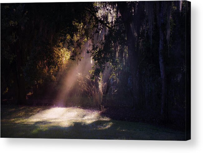 Morning Acrylic Print featuring the photograph Morning Skylight by Dick Hudson
