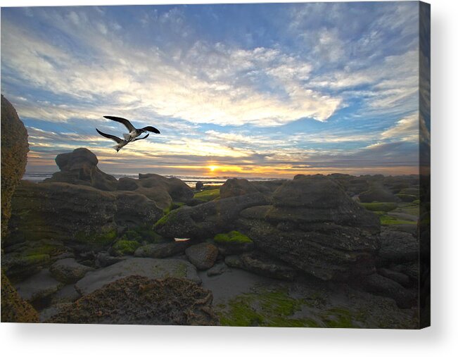 Star Acrylic Print featuring the photograph Morning Song by Robert Och