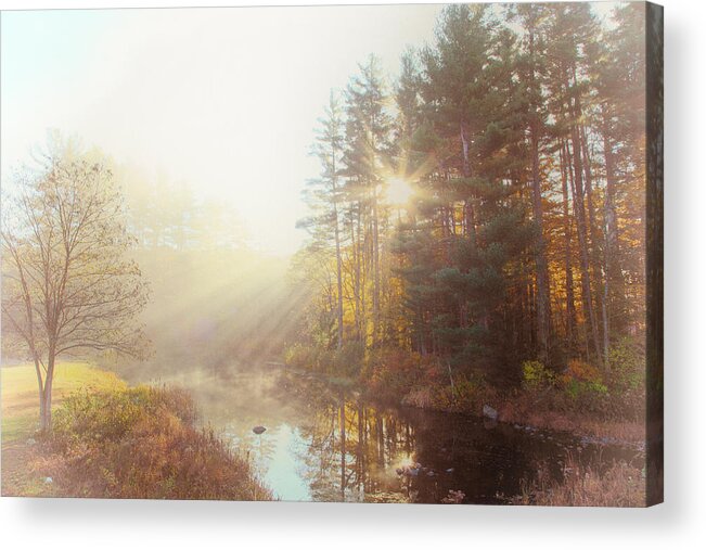 Morning Speaks Acrylic Print featuring the photograph Morning Speaks by Karol Livote
