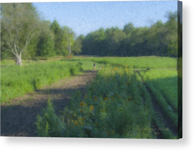 Langwater Farm Acrylic Print featuring the painting Morning Walk at Langwater Farm by Bill McEntee