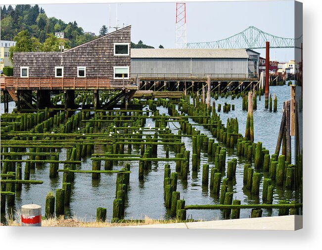 Mossy Pilings Acrylic Print featuring the photograph Mossy Pilings by Tom Cochran