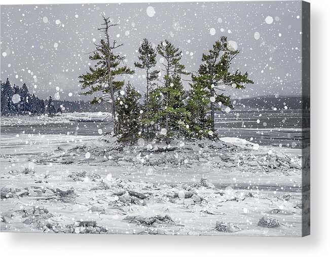 Snow Acrylic Print featuring the photograph Mount Desert Narrows Snowscape by Marty Saccone