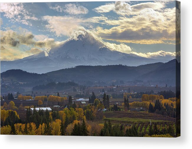 Hood River Acrylic Print featuring the photograph Mount Hood over Hood River Valley in Fall by David Gn