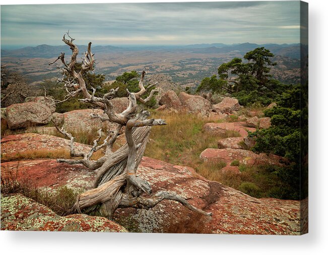 Mountain Acrylic Print featuring the photograph Mount Scott View IV by Ricky Barnard