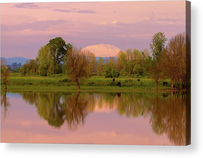 Mount Acrylic Print featuring the photograph Mount St Helens Reflection during Sunset by David Gn