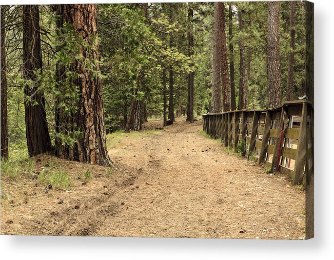 Trail Acrylic Print featuring the photograph Mountain Trail by Ben Graham