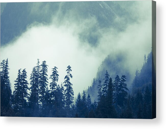 British Columbia Acrylic Print featuring the photograph Mountains and Fog by Michele Cornelius