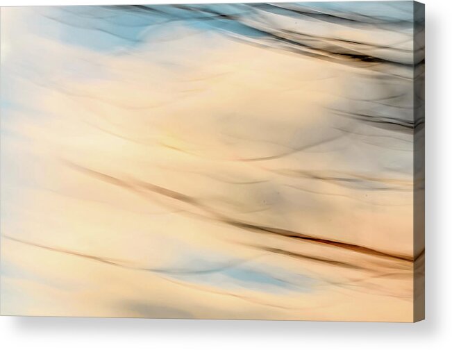 Abstract Acrylic Print featuring the photograph Moving Branches Moving Clouds by Gary Slawsky