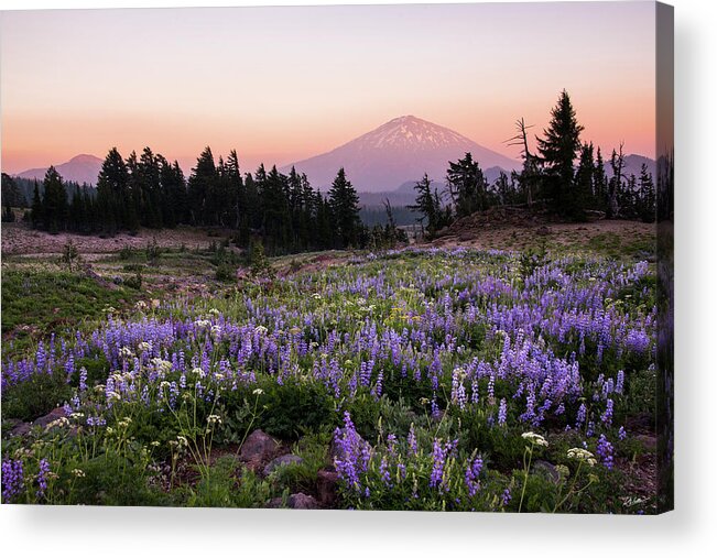 Landscape Acrylic Print featuring the photograph Mt. Bachelor Summer Sunset by Russell Wells
