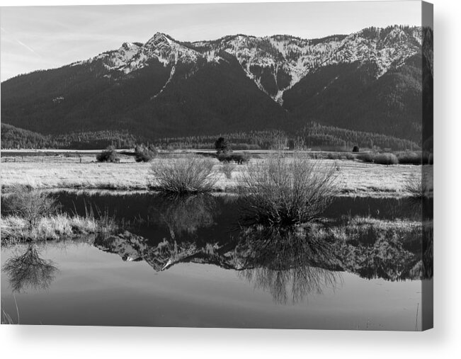 2016 Acrylic Print featuring the photograph Mt. Hough Reflection by Jan Davies