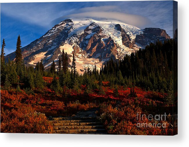 Mt Rainier National Park Acrylic Print featuring the photograph Mt. Rainier Paradise Morning by Adam Jewell
