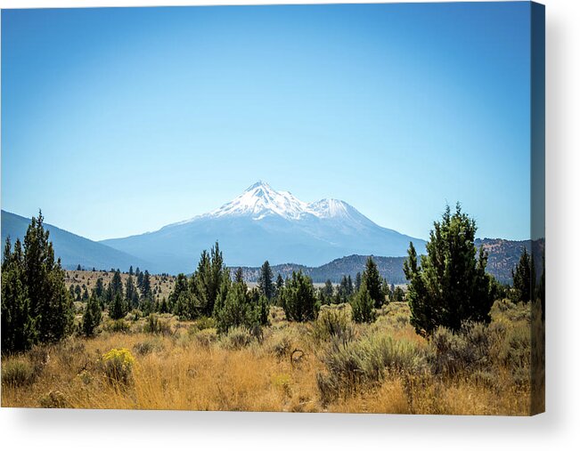 Mt. Shasta Acrylic Print featuring the photograph Mt. Shasta by Aileen Savage