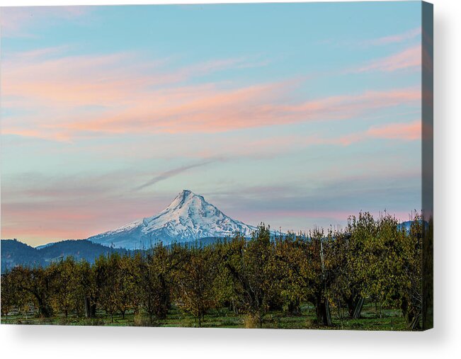 Landscape Acrylic Print featuring the photograph Mt.Hood in Morning glow by Hisao Mogi