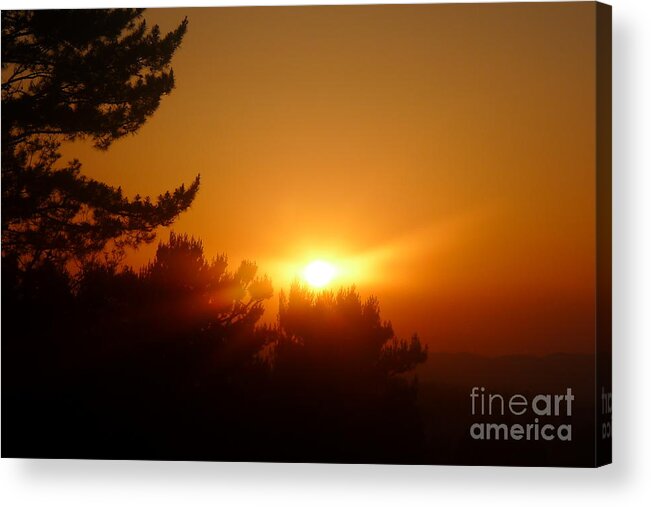Sunset Acrylic Print featuring the photograph Mulholland by Nora Boghossian