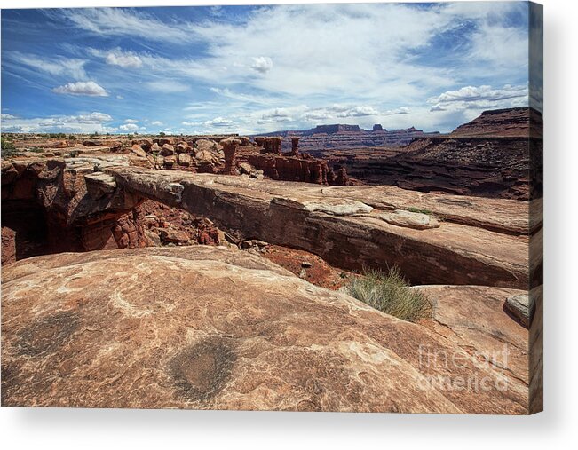 Utah Landscape Acrylic Print featuring the photograph Musselman Arch by Jim Garrison