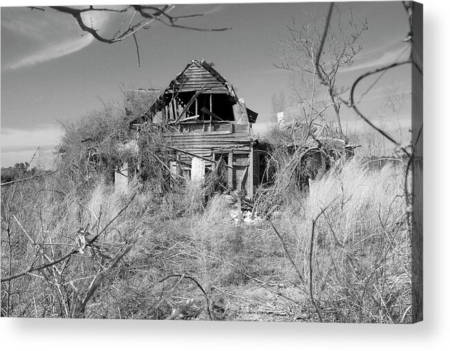 Old House Acrylic Print featuring the photograph N C Ruins 2 by Mike McGlothlen