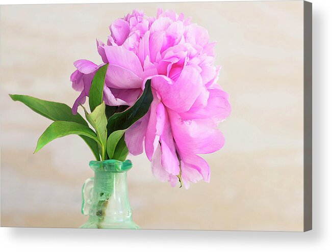 Rich Franco Acrylic Print featuring the photograph Nancy's Peony by Rich Franco