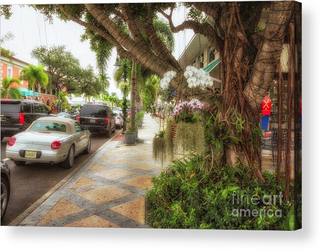 Florida Acrylic Print featuring the photograph Naples 6 by Timothy Hacker